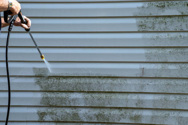 Affordable Siding Repair and Maintenance Services in Island Lake, IL